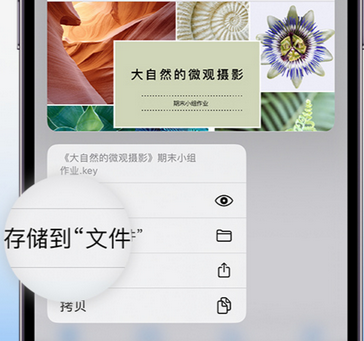 湖北apple维修中心分享iPhone文件应用中存储和找到下载文件