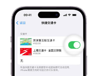 湖北apple维修点分享iPhone上更换Apple Pay快捷交通卡手绘卡面 