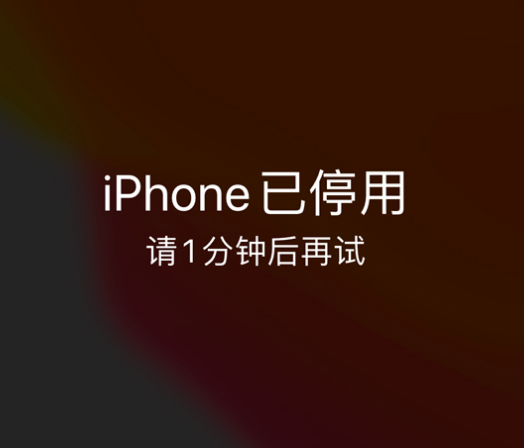 湖北苹果手机维修分享:iPhone 显示“不可用”或“已停用”怎么办？还能保留数据吗？ 