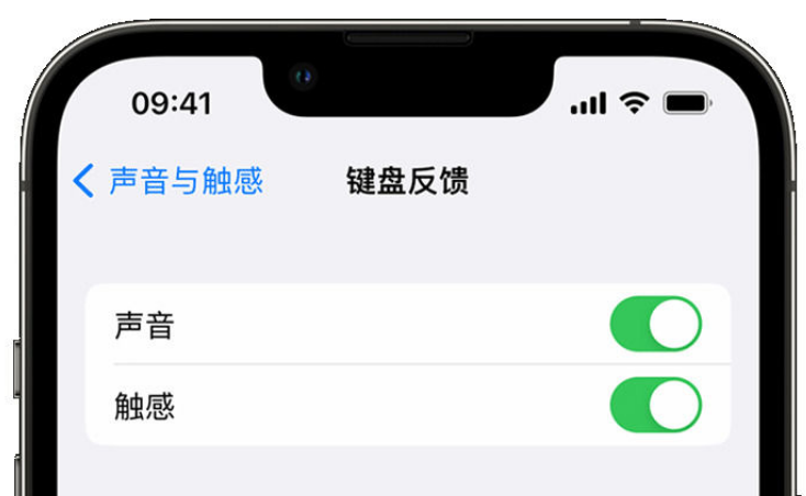 湖北苹果手机维修分享iPhone 14触感键盘使用方法 