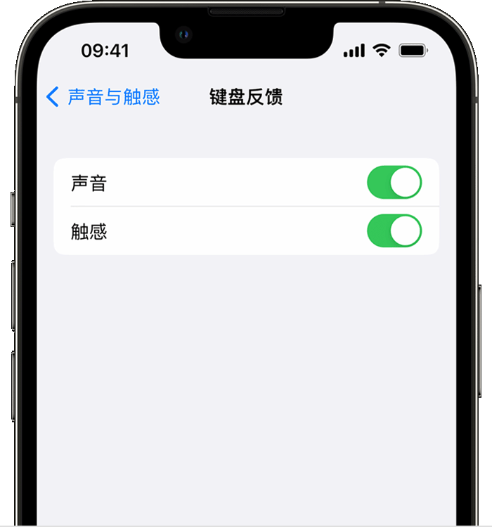 湖北苹果14维修分享iPhone 14 系列机型如何开启键盘声音或触感反馈 