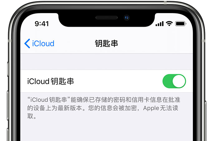 湖北苹果手机维修分享在 iPhone 上开启 iCloud 钥匙串之后会储存哪些信息 