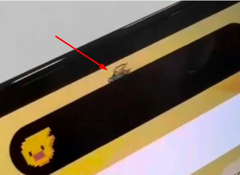 湖北苹果14维修分享iPhone 14 Pro Max灵动岛怎么养宠物 