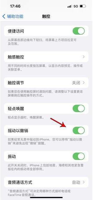 湖北苹果手机维修分享iPhone手机如何设置摇一摇删除文字 