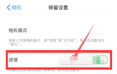 湖北苹果13维修分享iPhone13拍照有绿点是怎么回事 