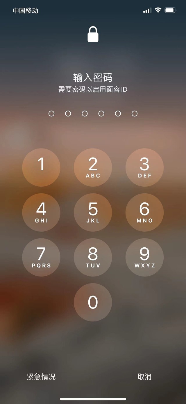 湖北苹果13维修分享iPhone 13加强锁屏功能有什么用 