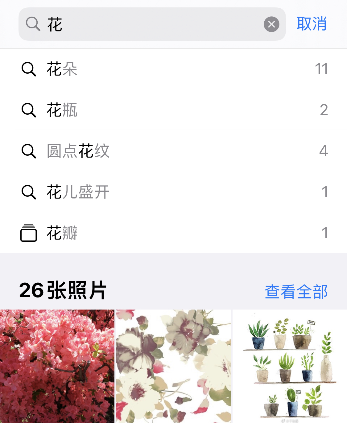 湖北苹果手机维修分享iPhone 小技巧 