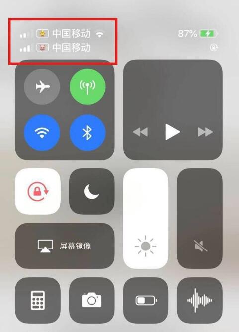 湖北苹果手机维修分享为 iPhone 12 双卡设置标签 